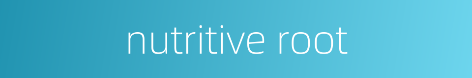 nutritive root的同义词