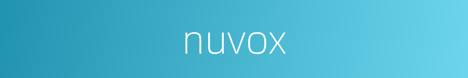 nuvox的同义词