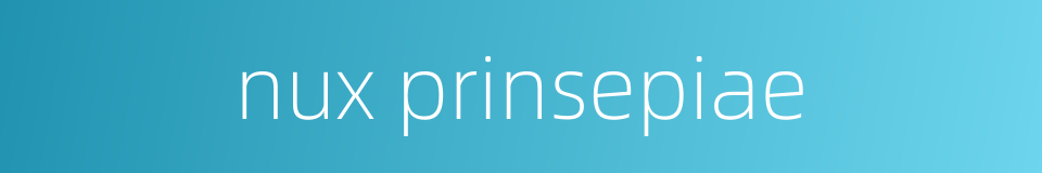 nux prinsepiae的同义词