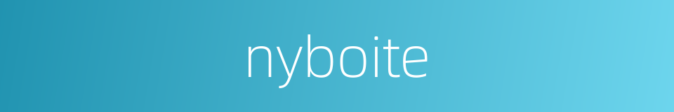 nyboite的同义词