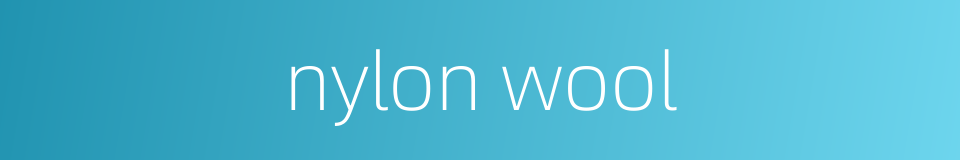 nylon wool的同义词