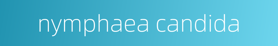 nymphaea candida的同义词