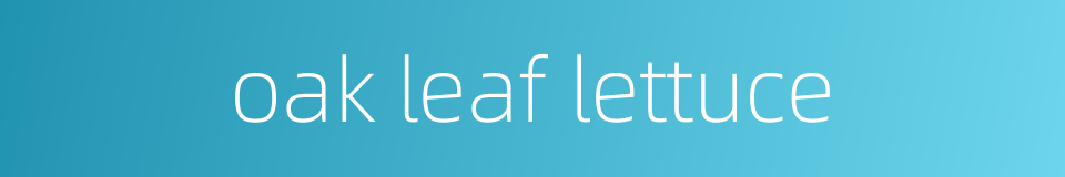 oak leaf lettuce的同义词