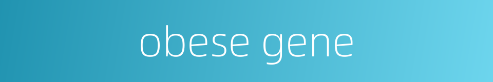 obese gene的同义词