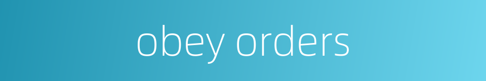 obey orders的同义词