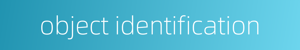 object identification的同义词