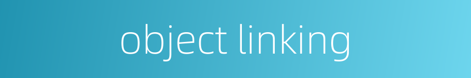 object linking的同义词