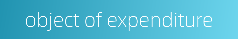 object of expenditure的同义词