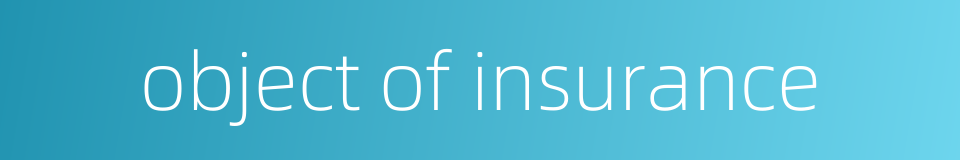 object of insurance的同义词