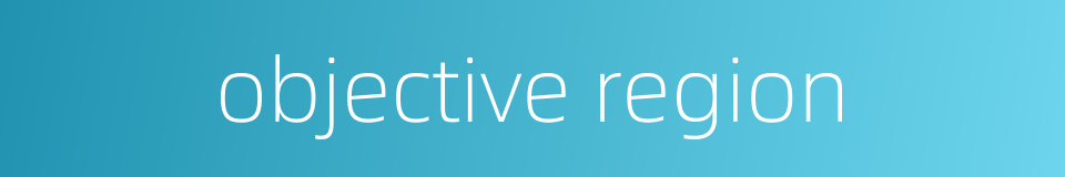 objective region的同义词