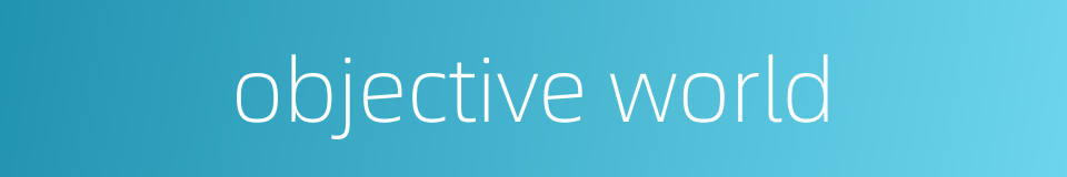 objective world的同义词