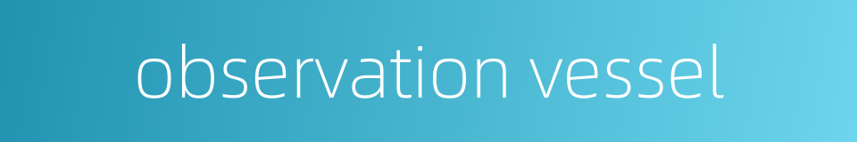 observation vessel的同义词