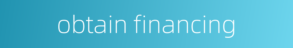 obtain financing的同义词