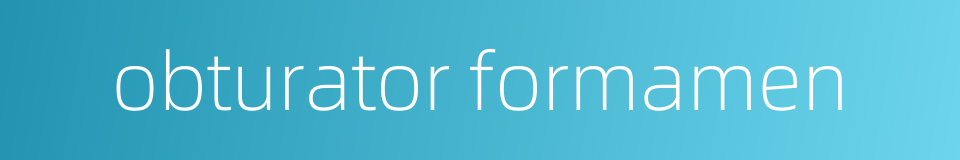 obturator formamen的同义词