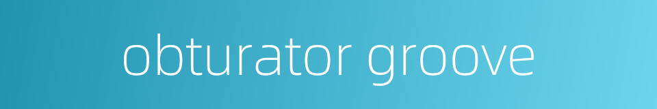 obturator groove的同义词