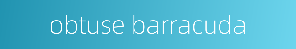 obtuse barracuda的同义词