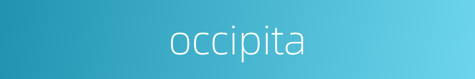 occipita的同义词