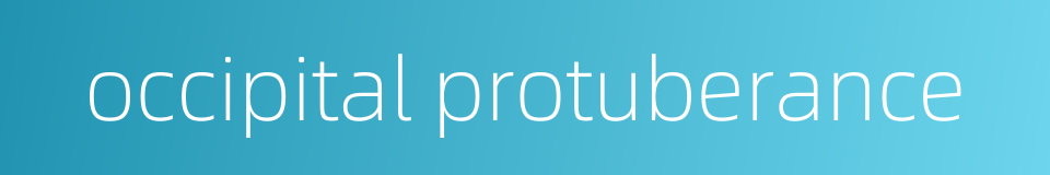 occipital protuberance的同义词