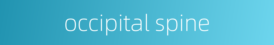 occipital spine的同义词