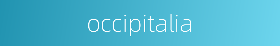 occipitalia的同义词