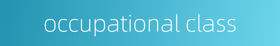 occupational class的同义词