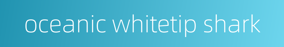 oceanic whitetip shark的同义词