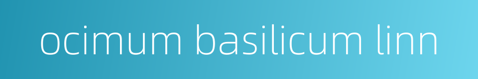 ocimum basilicum linn的同义词