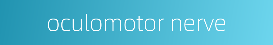 oculomotor nerve的同义词