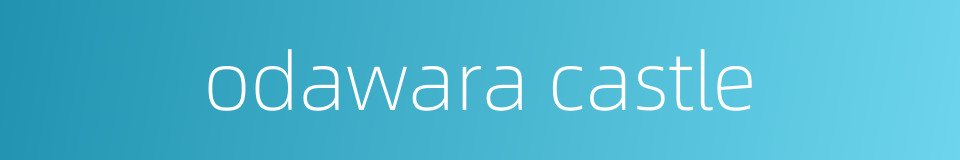 odawara castle的同义词
