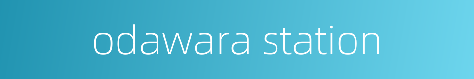 odawara station的同义词