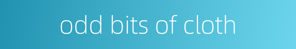 odd bits of cloth的同义词