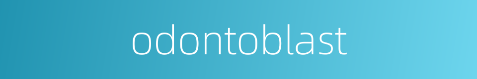 odontoblast的同义词
