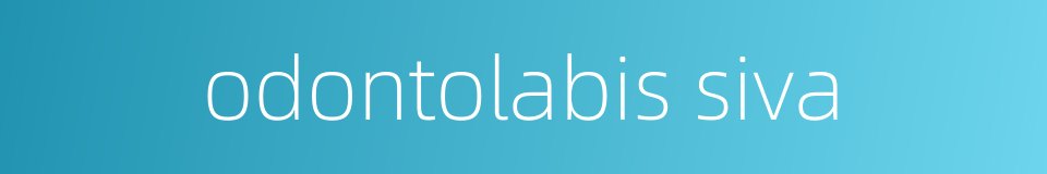 odontolabis siva的同义词