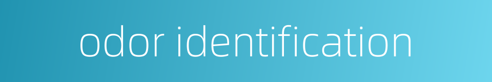 odor identification的同义词