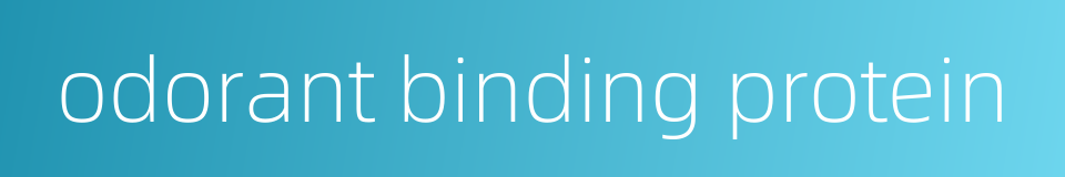 odorant binding protein的同义词
