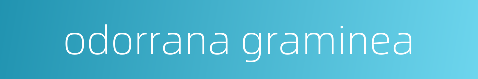 odorrana graminea的同义词