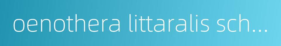 oenothera littaralis schlect的同义词