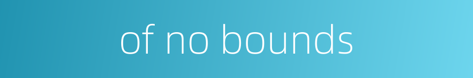 of no bounds的同义词