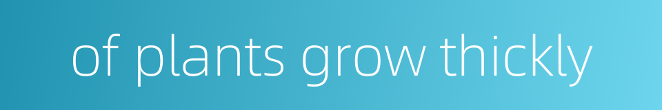 of plants grow thickly的同义词