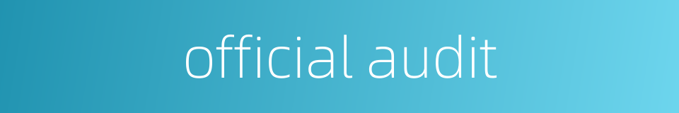 official audit的同义词