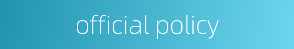 official policy的同义词