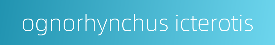 ognorhynchus icterotis的同义词