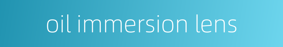 oil immersion lens的同义词