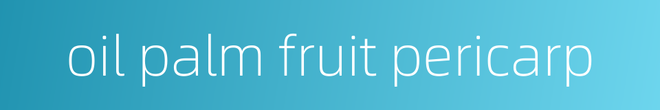 oil palm fruit pericarp的同义词