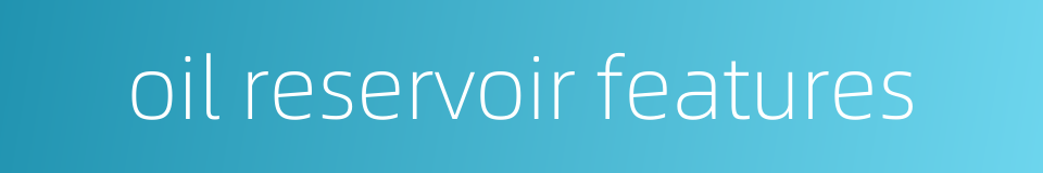 oil reservoir features的同义词