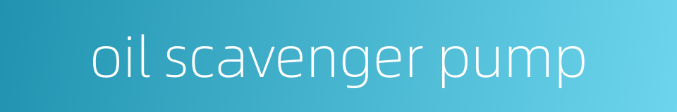 oil scavenger pump的同义词