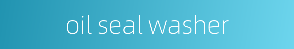 oil seal washer的同义词