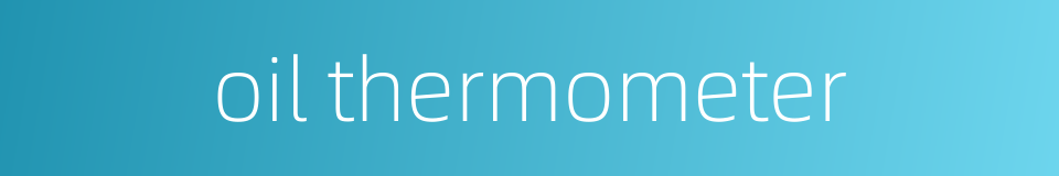 oil thermometer的同义词