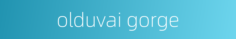 olduvai gorge的同义词