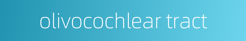 olivocochlear tract的同义词